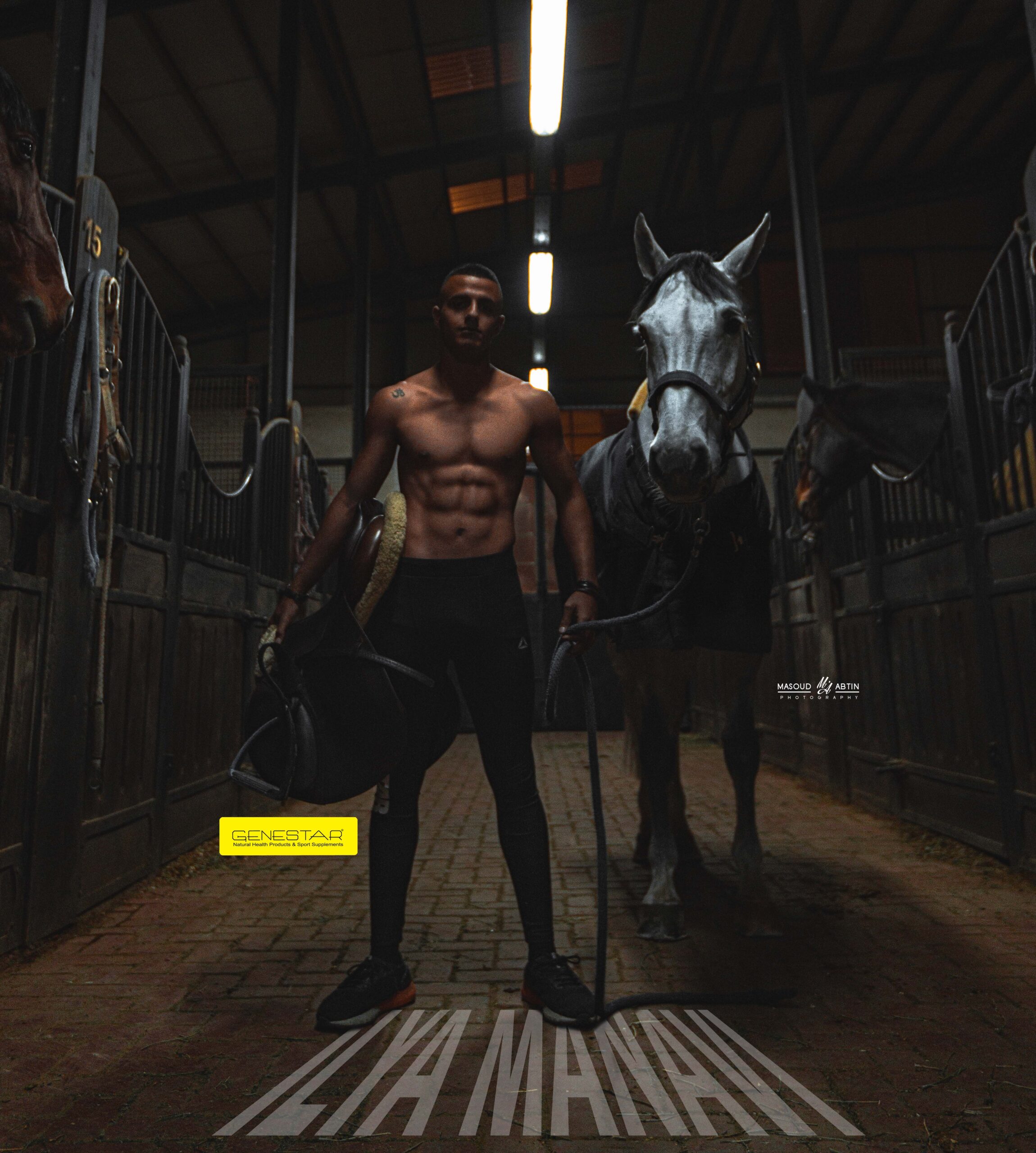 gallery grid image